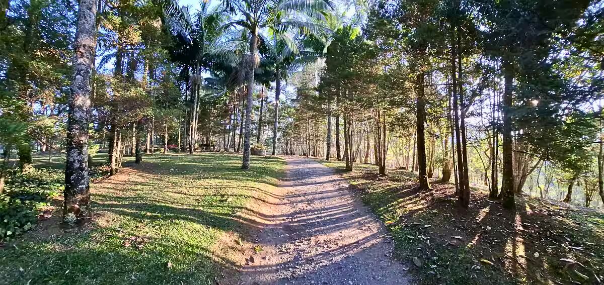 Casa, 4 quartos, 348 m² - Foto 8