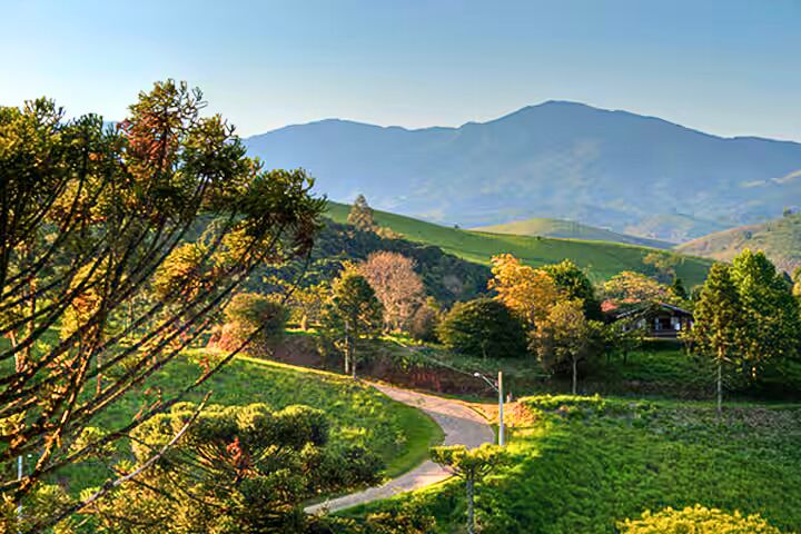 Casa, 4 quartos, 348 m² - Foto 28