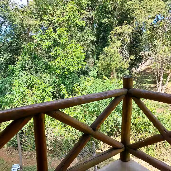 Casa, 4 quartos, 348 m² - Foto 4