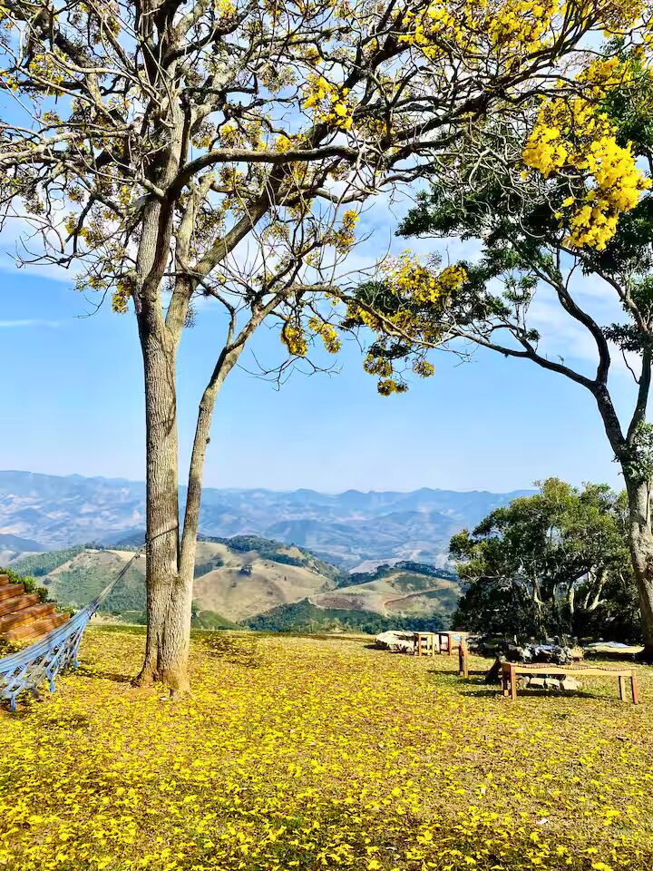 Casa, 3 quartos, 400 m² - Foto 42