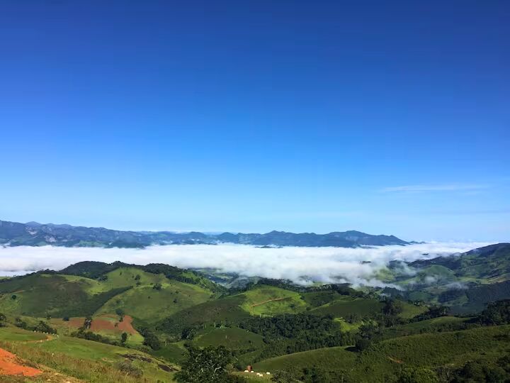 Casa, 3 quartos, 400 m² - Foto 43