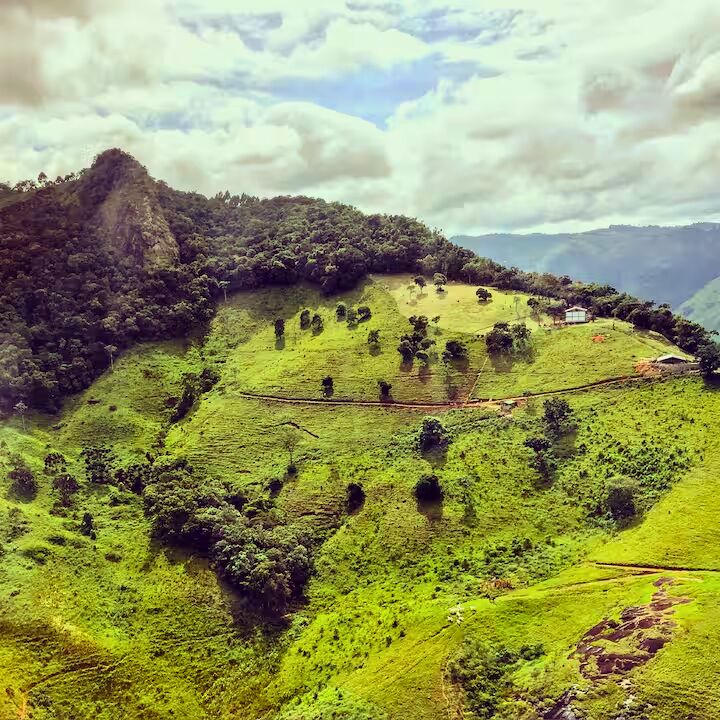 Casa, 3 quartos, 400 m² - Foto 40