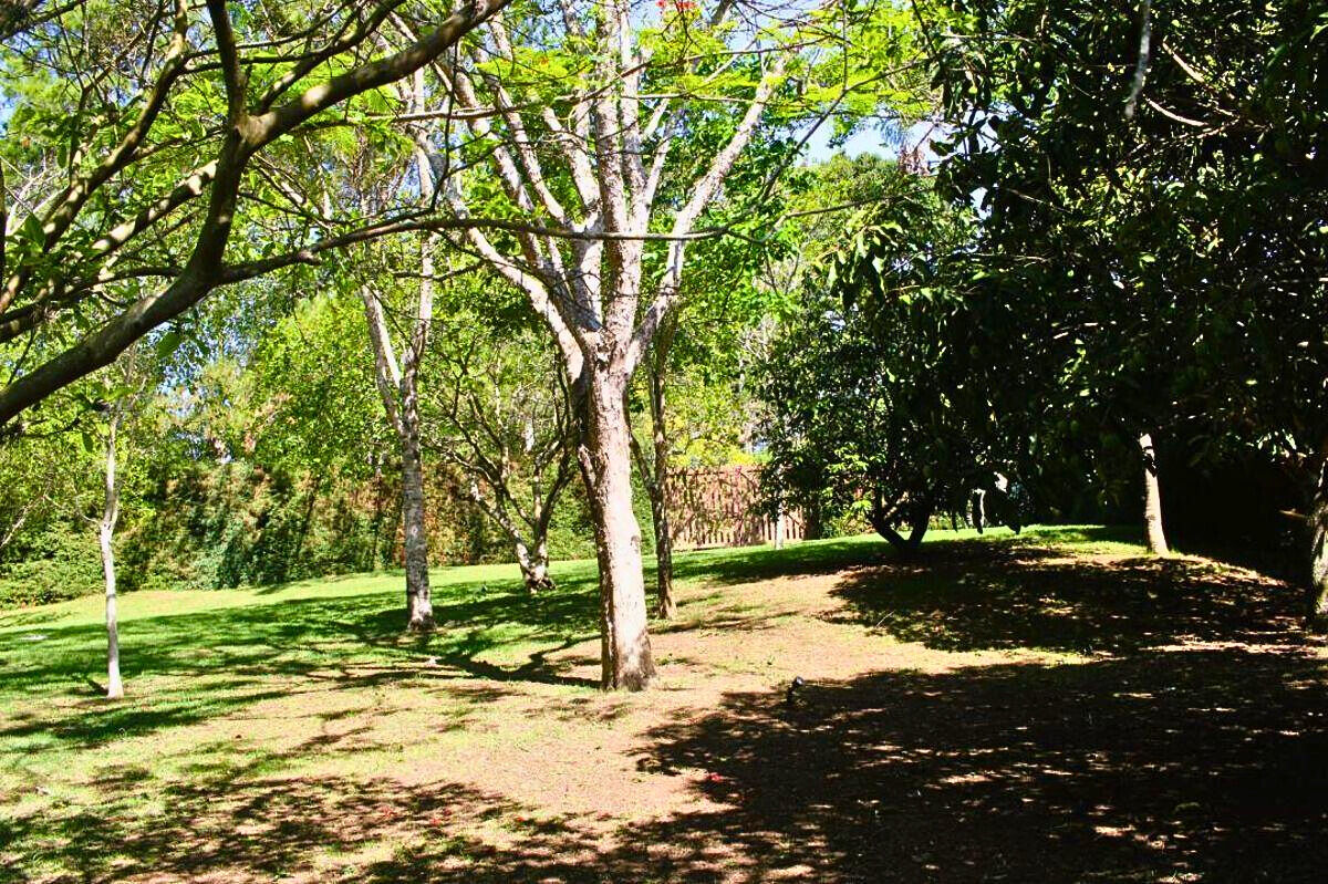 Casa, 2 quartos, 87 m² - Foto 9