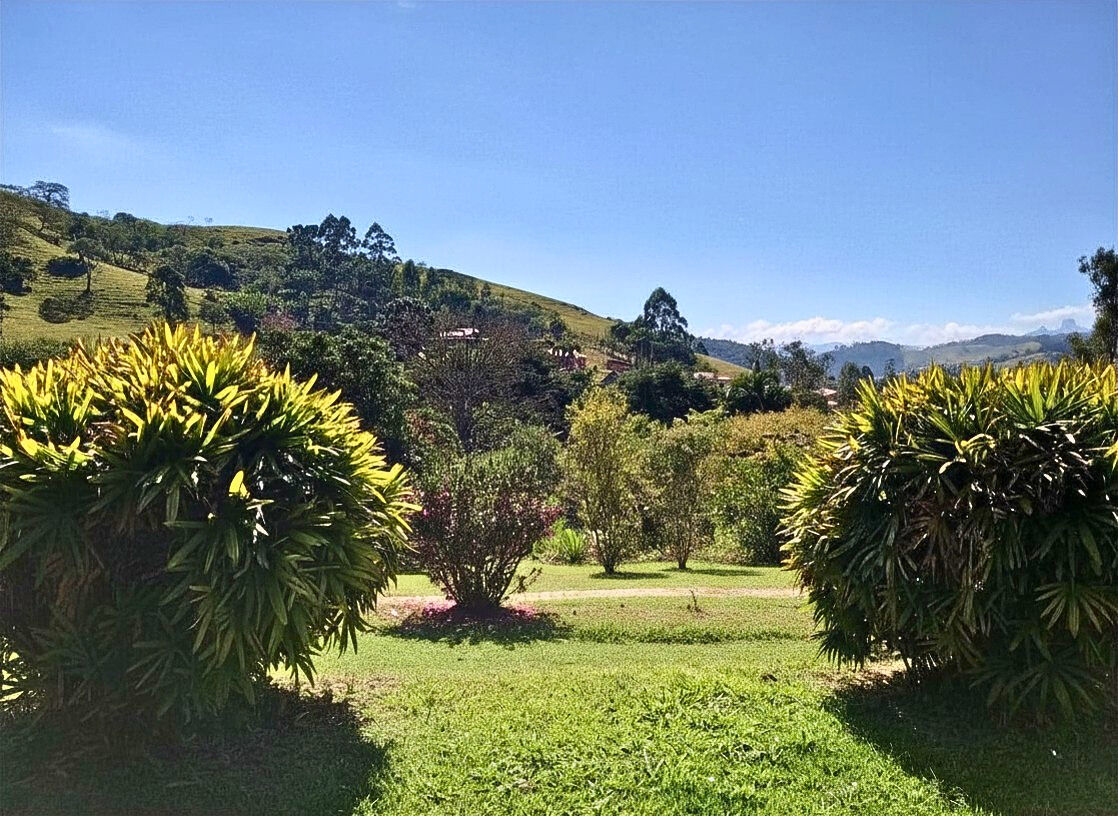 Sítio, 3 quartos, 9600 m² - Foto 6