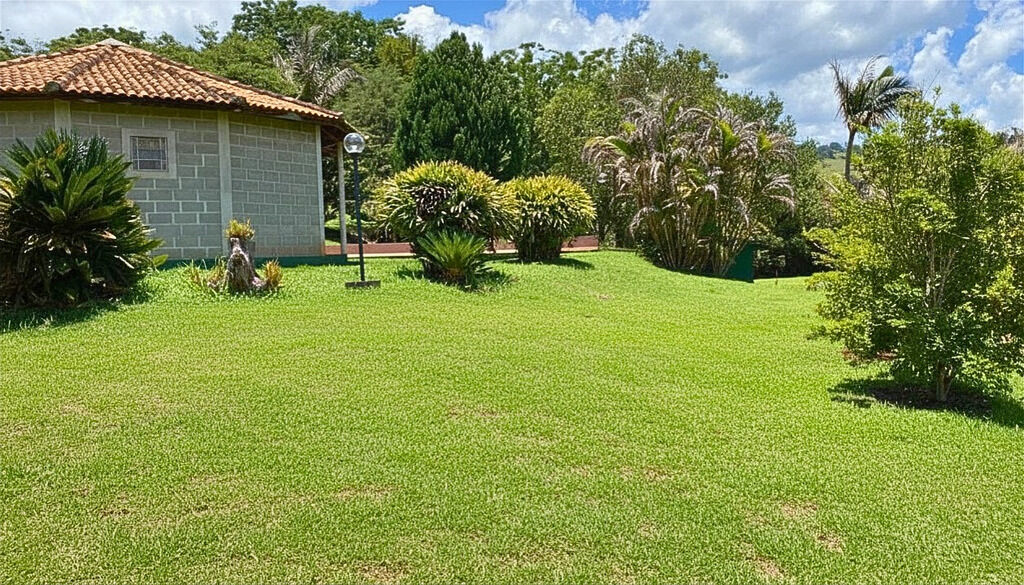 Sítio, 3 quartos, 9600 m² - Foto 33