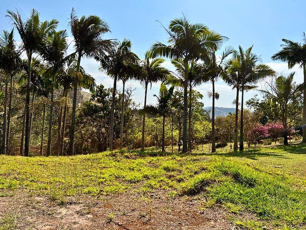 Sítio, 3 quartos, 9600 m² - Foto 9