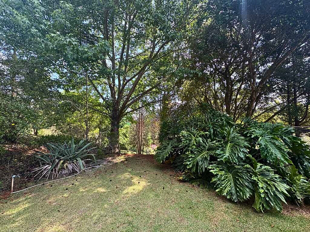 Chácara, 4 quartos, 3 hectares - Foto 27