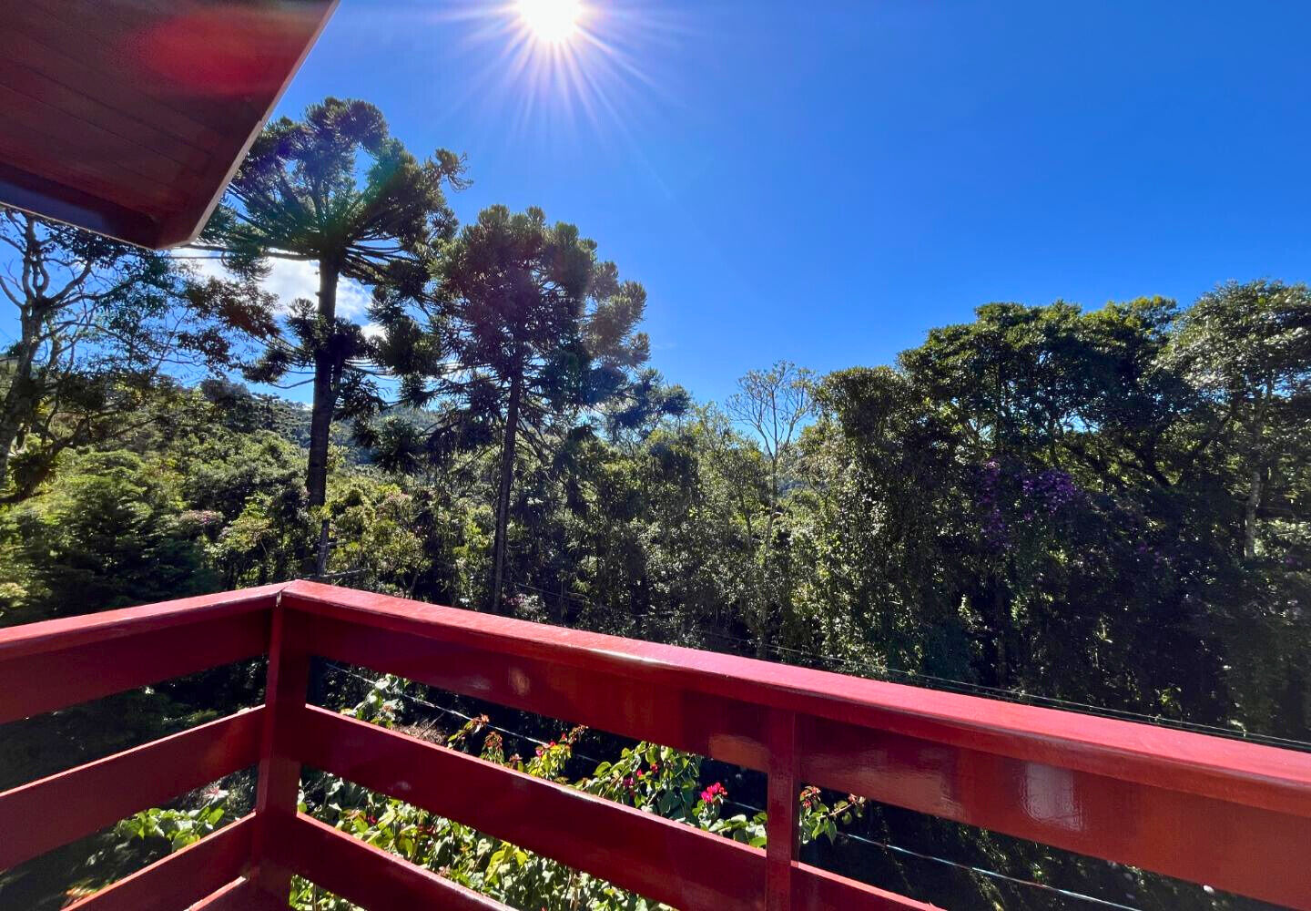 Casa, 4 quartos, 213 m² - Foto 12