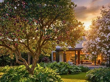 A Inteligência do Pertencer: O Paisagismo Além do Status