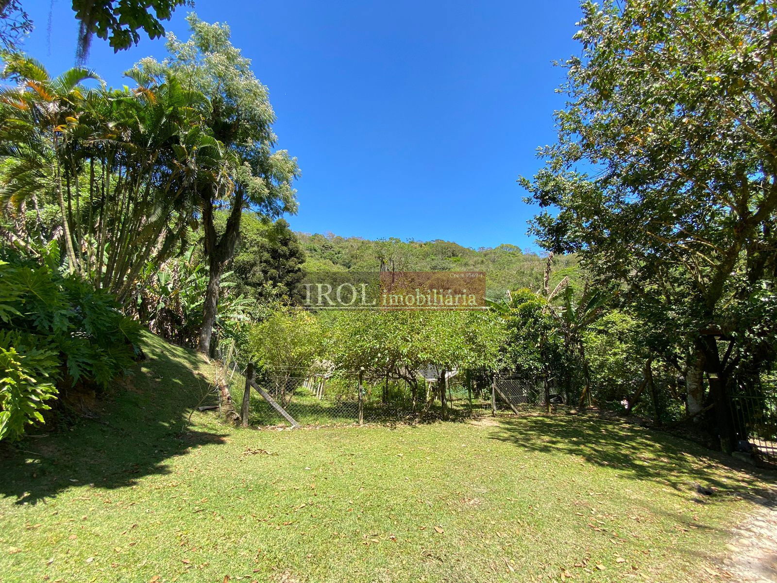 Fazenda à venda com 3 quartos, 130000m² - Foto 3