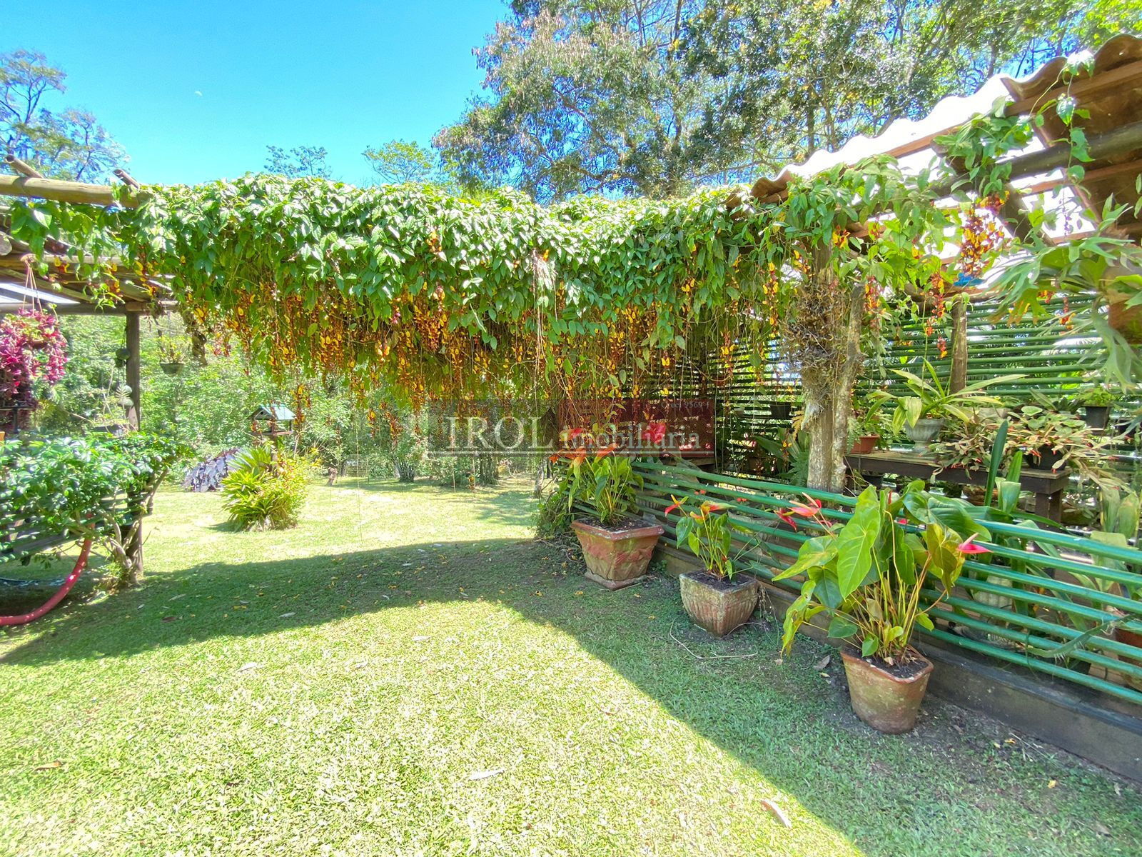 Fazenda à venda com 3 quartos, 130000m² - Foto 4