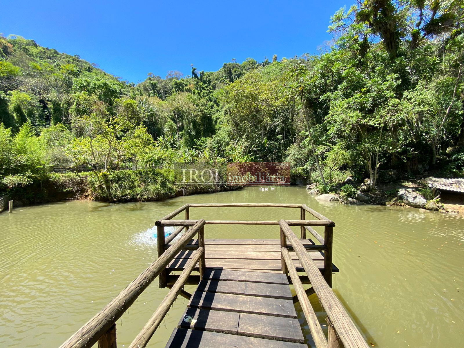 Fazenda à venda com 3 quartos, 130000m² - Foto 5