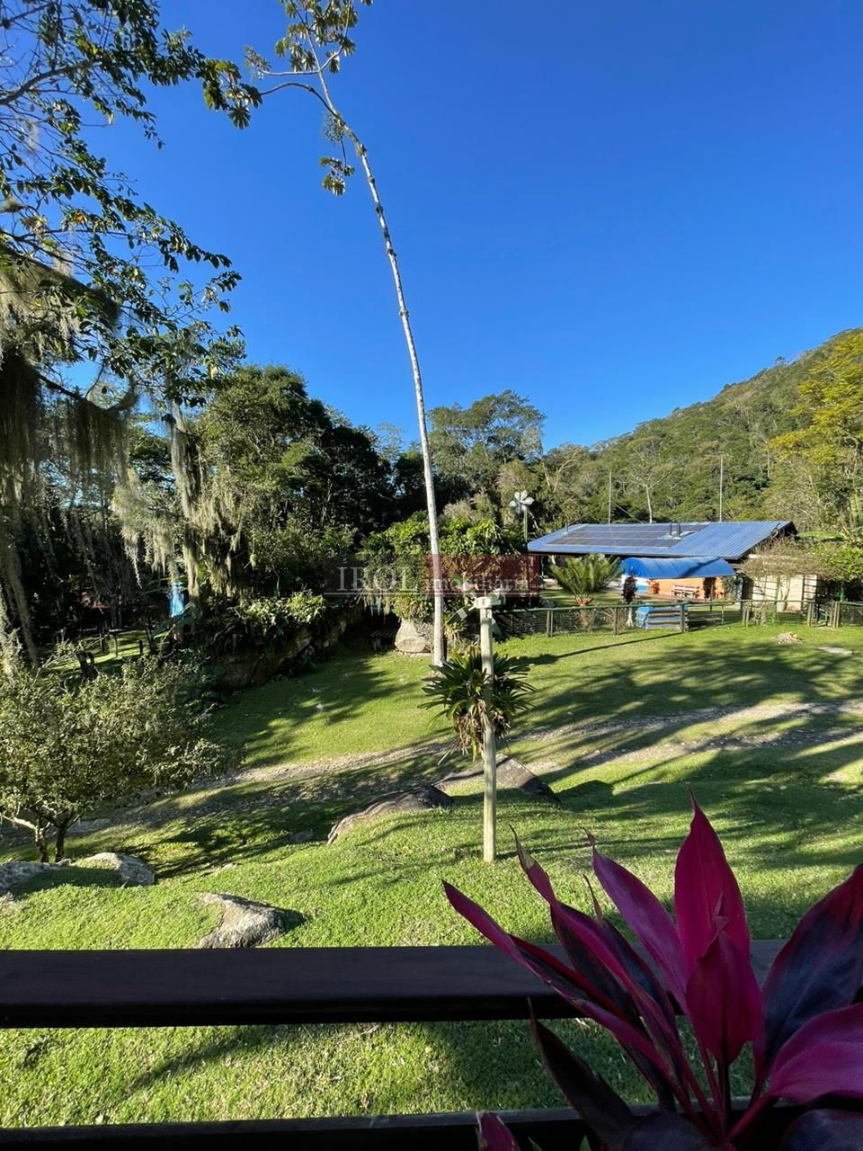 Fazenda à venda com 3 quartos, 130000m² - Foto 6