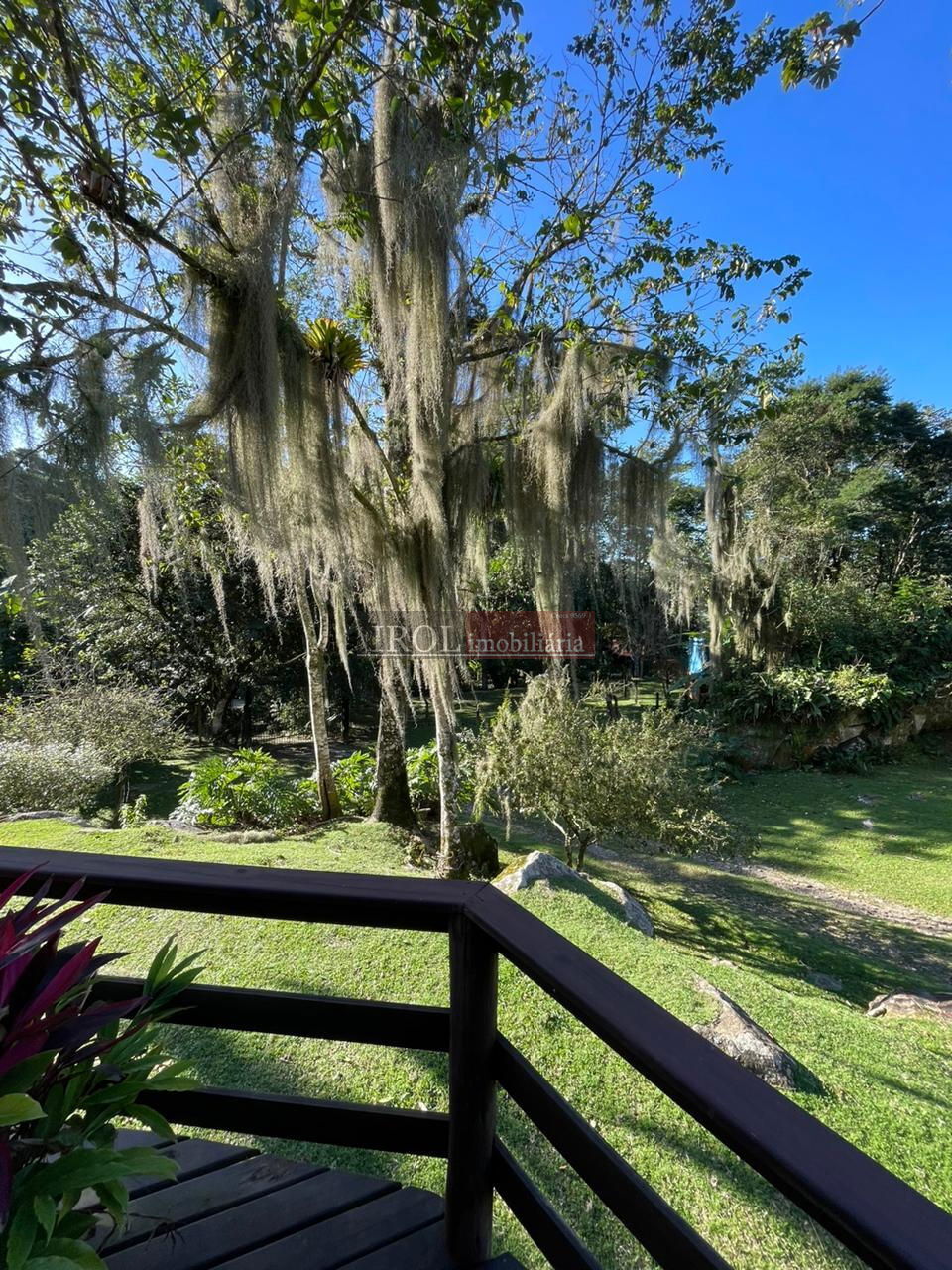 Fazenda à venda com 3 quartos, 130000m² - Foto 7