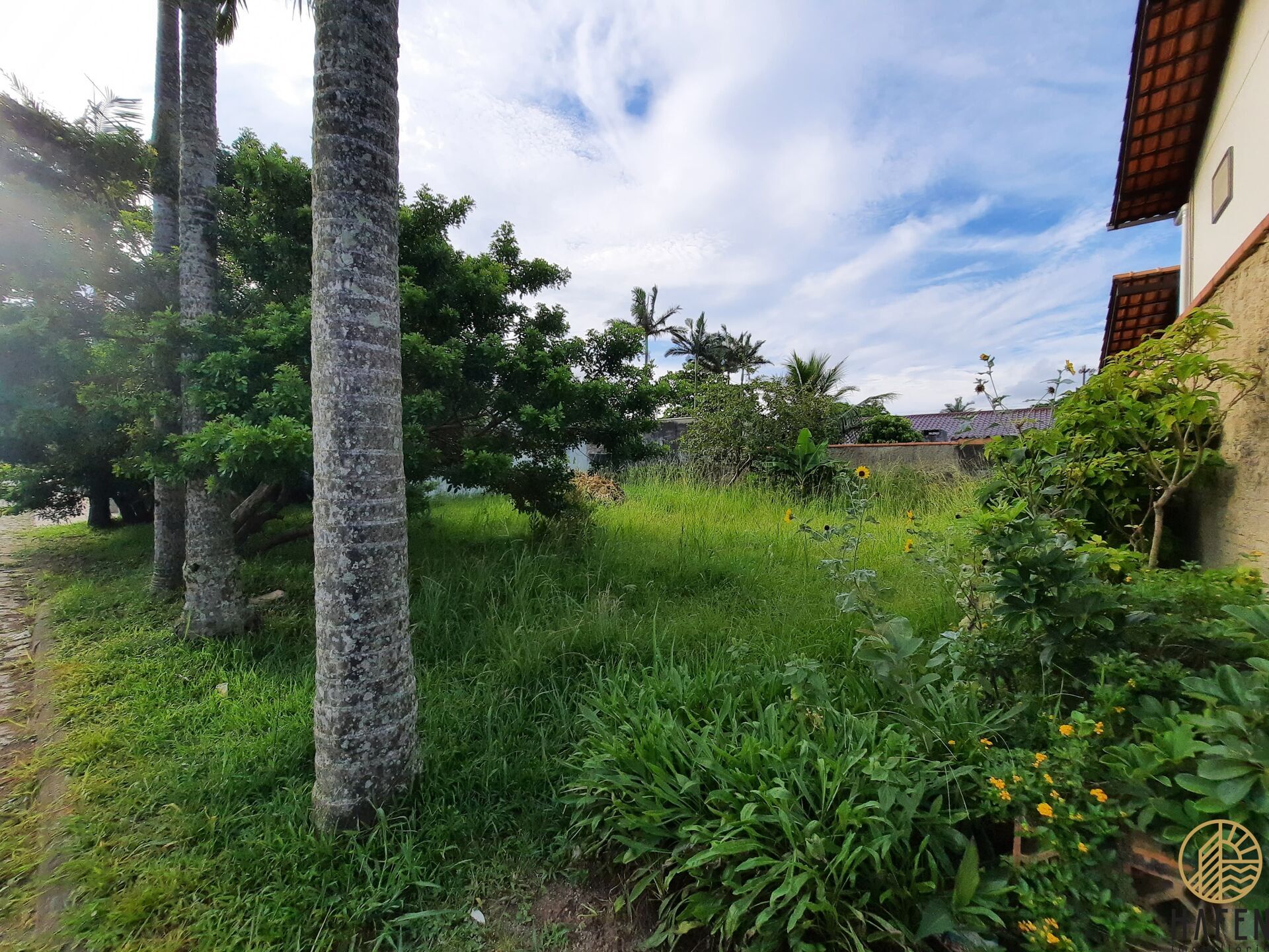 Terreno à venda, 289m² - Foto 5