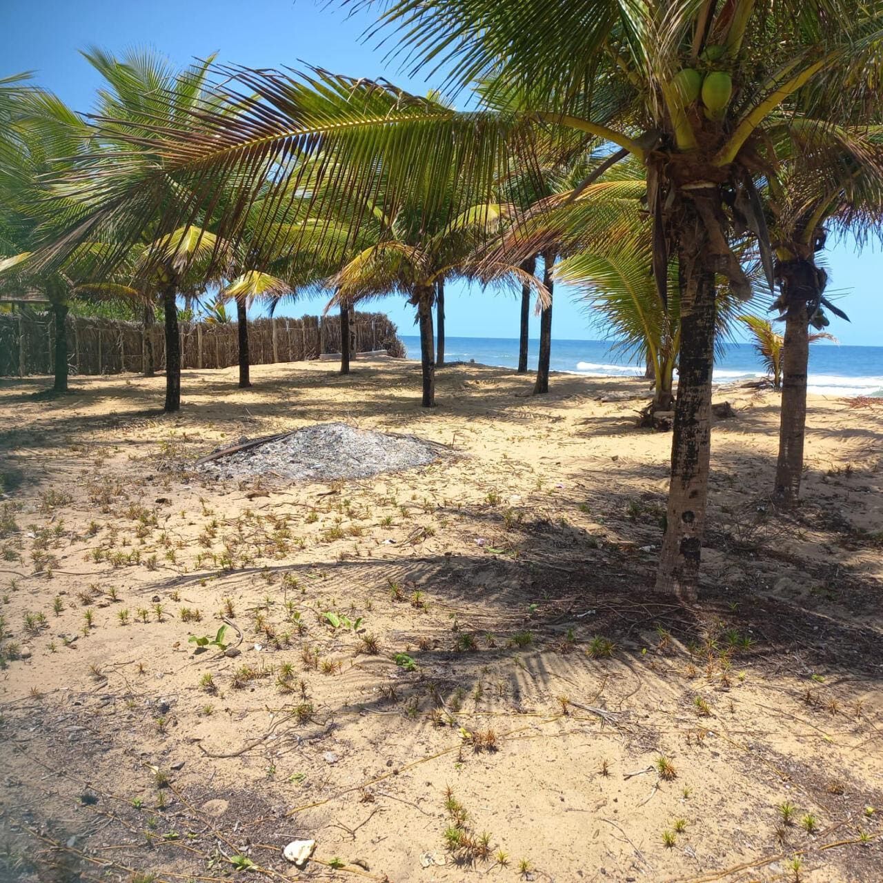 Imagem principal do imóvel