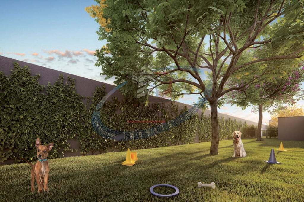 Apartamento, 2 quartos, 34 m² - Foto 12