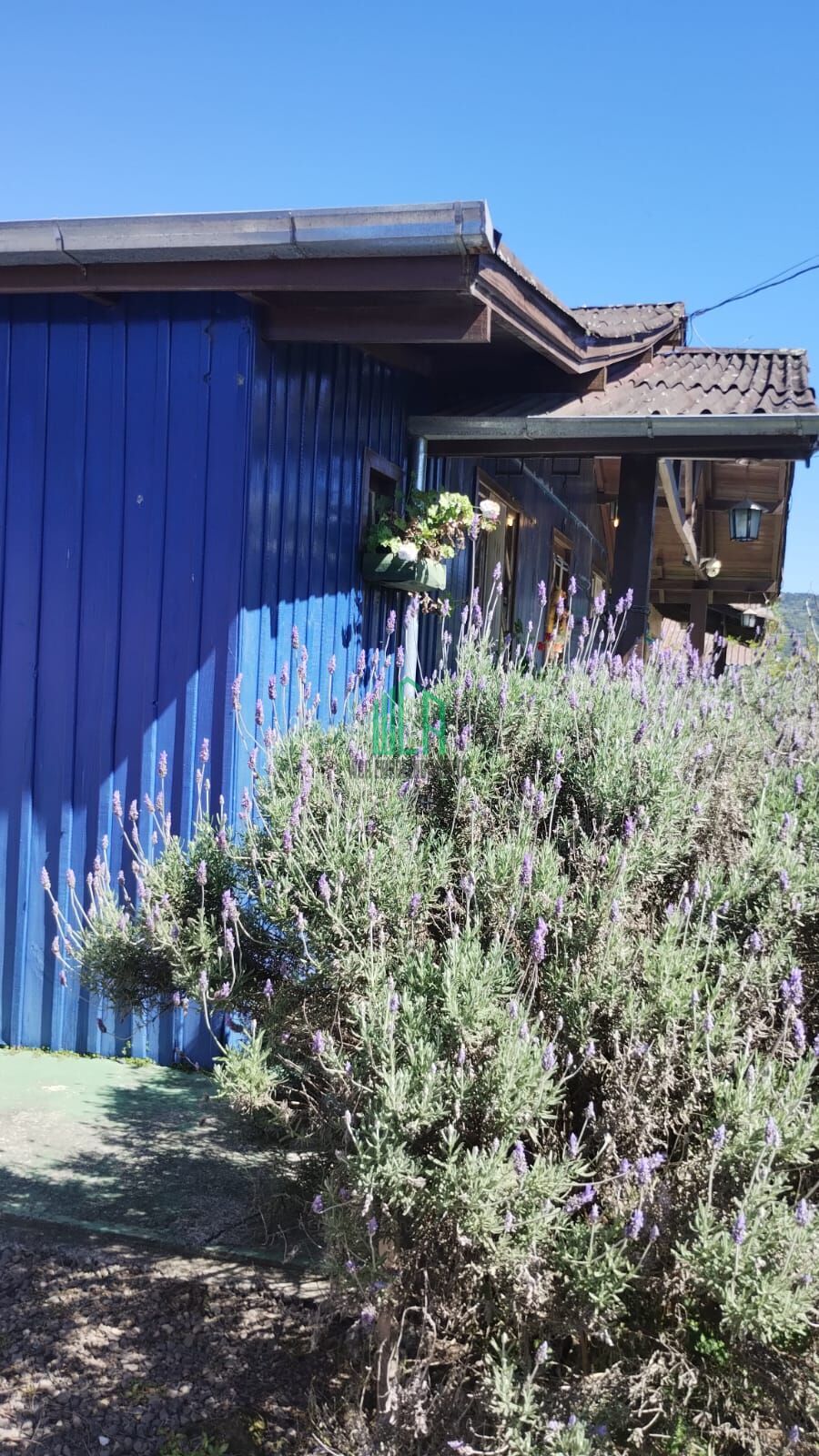 Casa, 5 quartos, 1000 m² - Foto 3