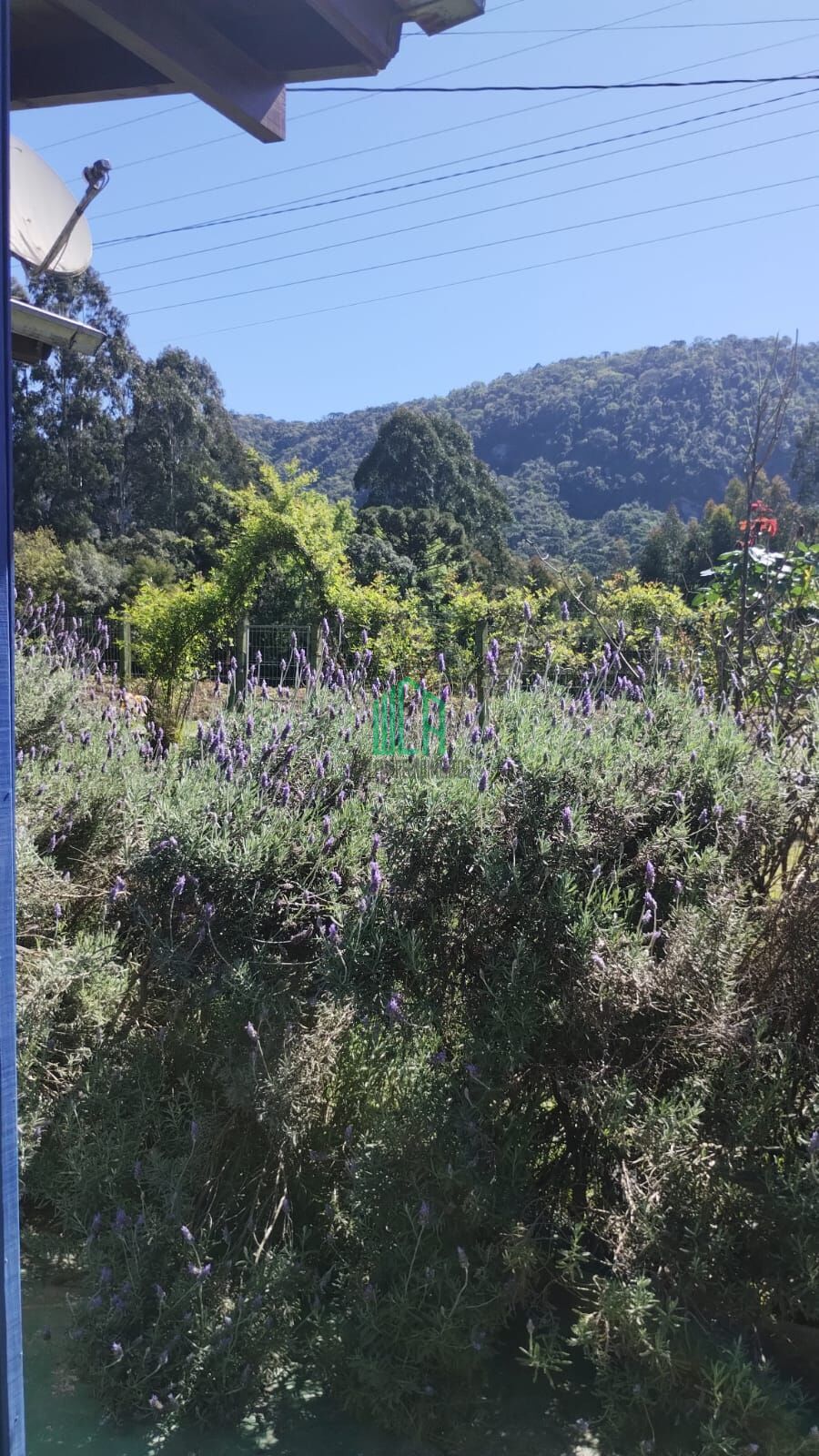 Casa, 5 quartos, 1000 m² - Foto 31