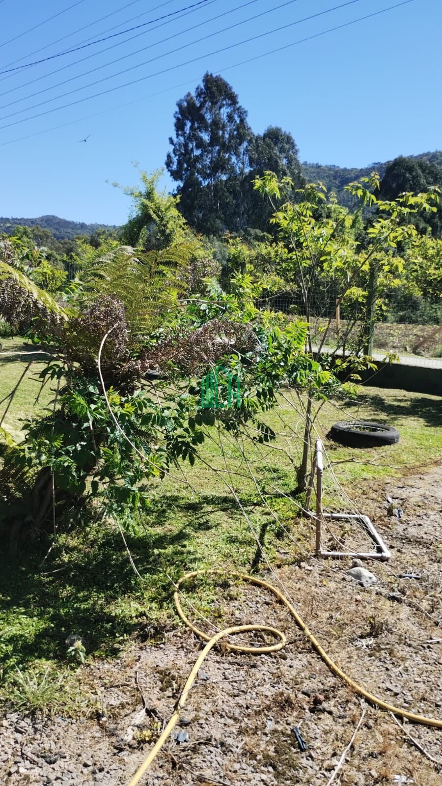 Casa, 5 quartos, 1000 m² - Foto 30