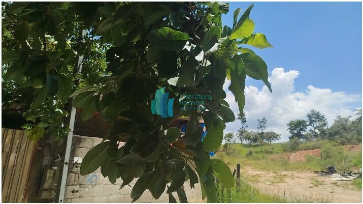 Terreno, 460 m² - Foto 9