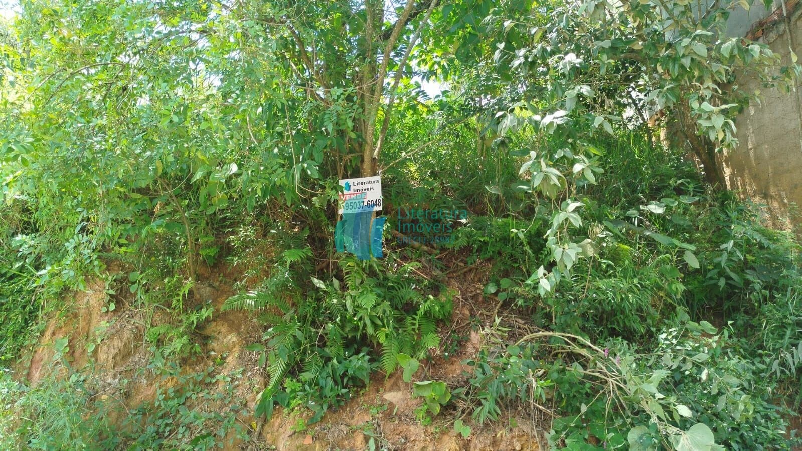 Terreno, 460 m² - Foto 6