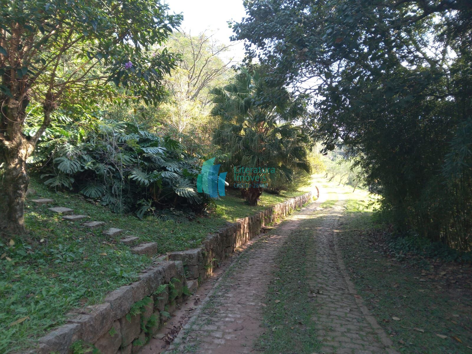 Sítio à venda, 99000m² - Foto 10