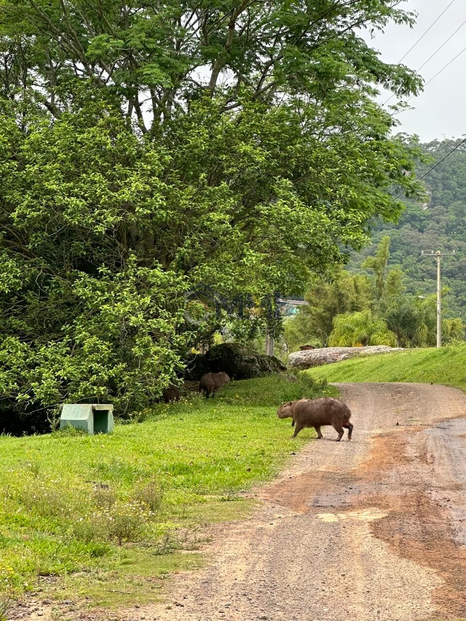 Terreno, 1000 m² - Foto 11