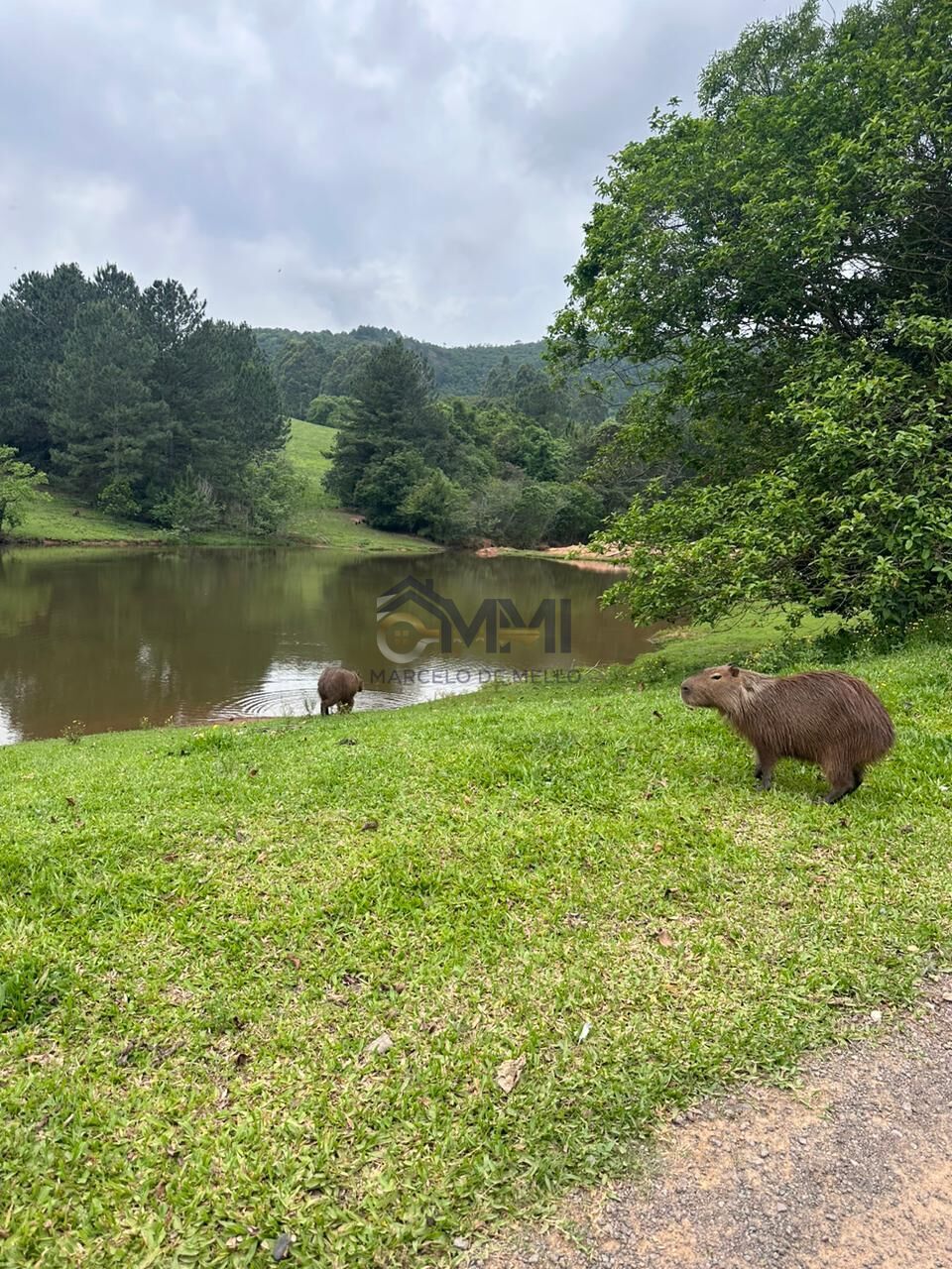 Terreno, 1000 m² - Foto 10