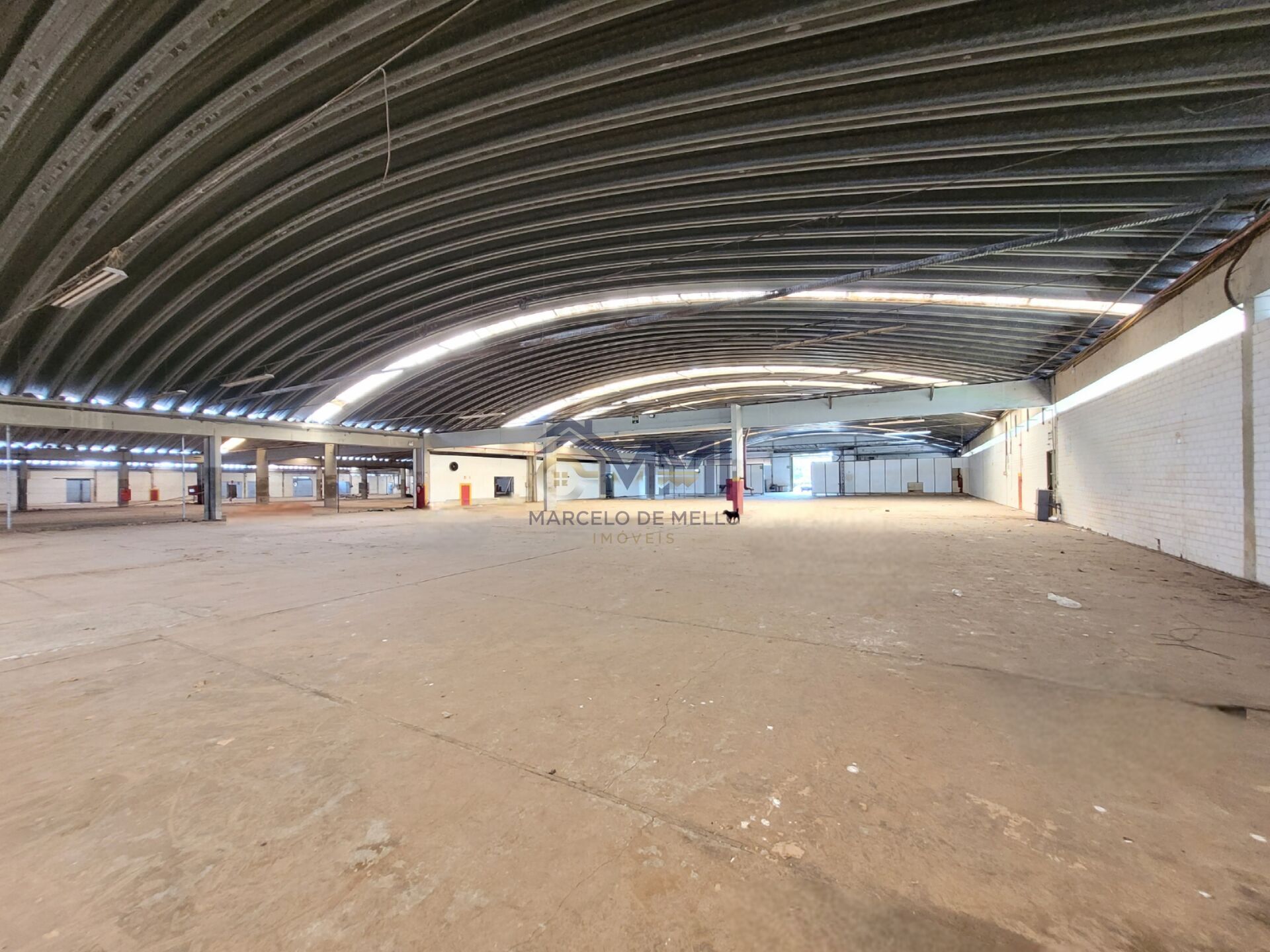 Depósito-Galpão, 10830 m² - Foto 6