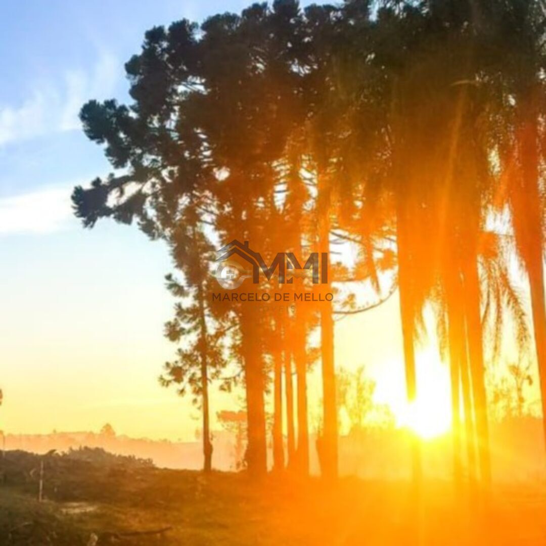 Terreno, 390 m² - Foto 1