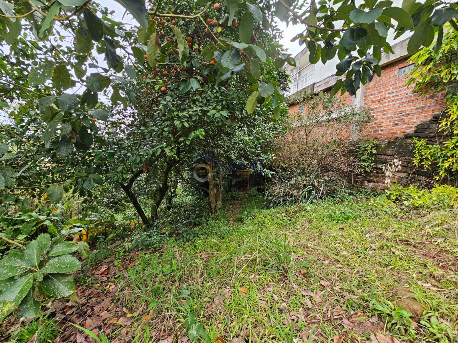 Terreno, 541 m² - Foto 4