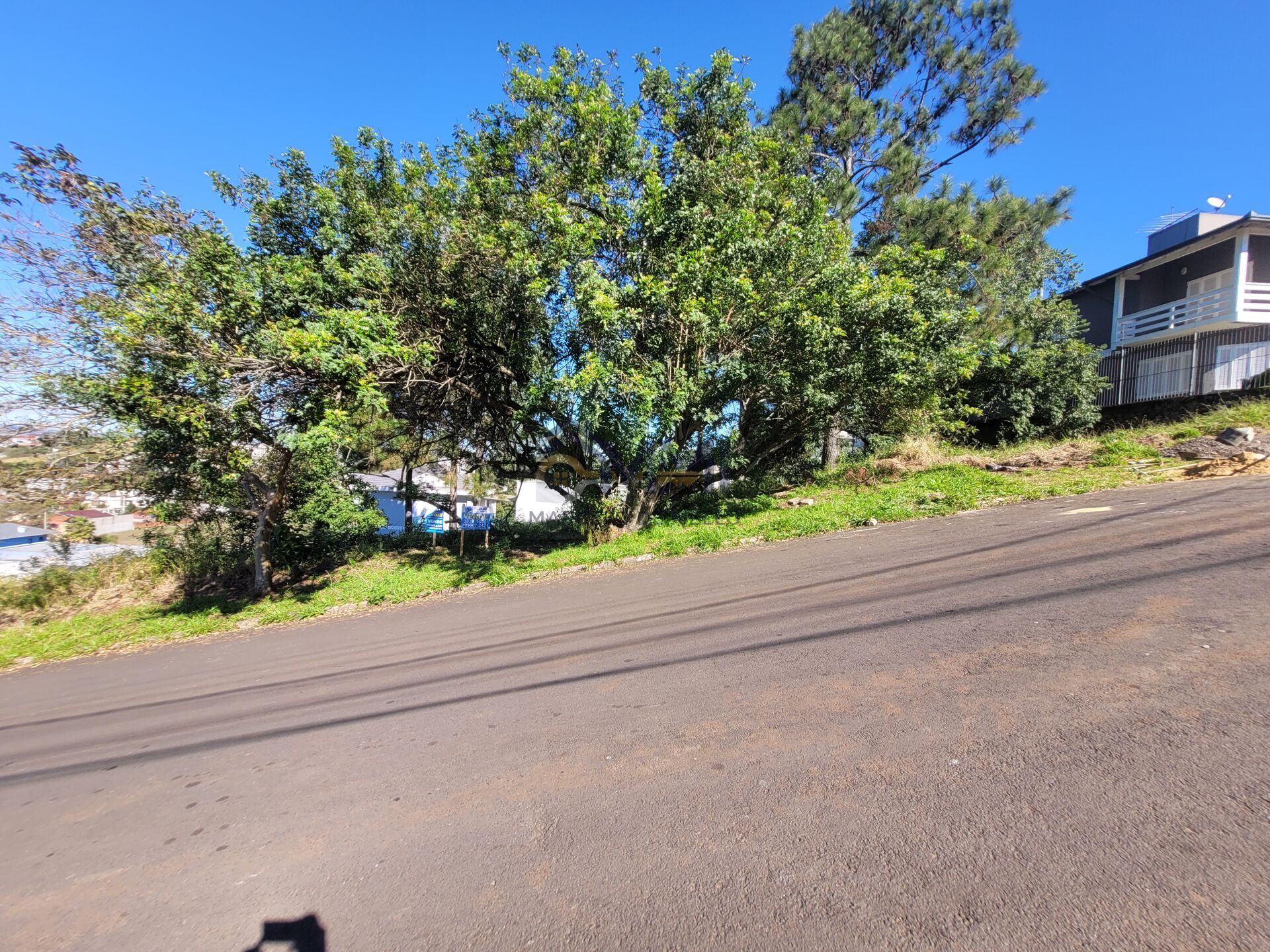 Terreno à venda, 360m² - Foto 4