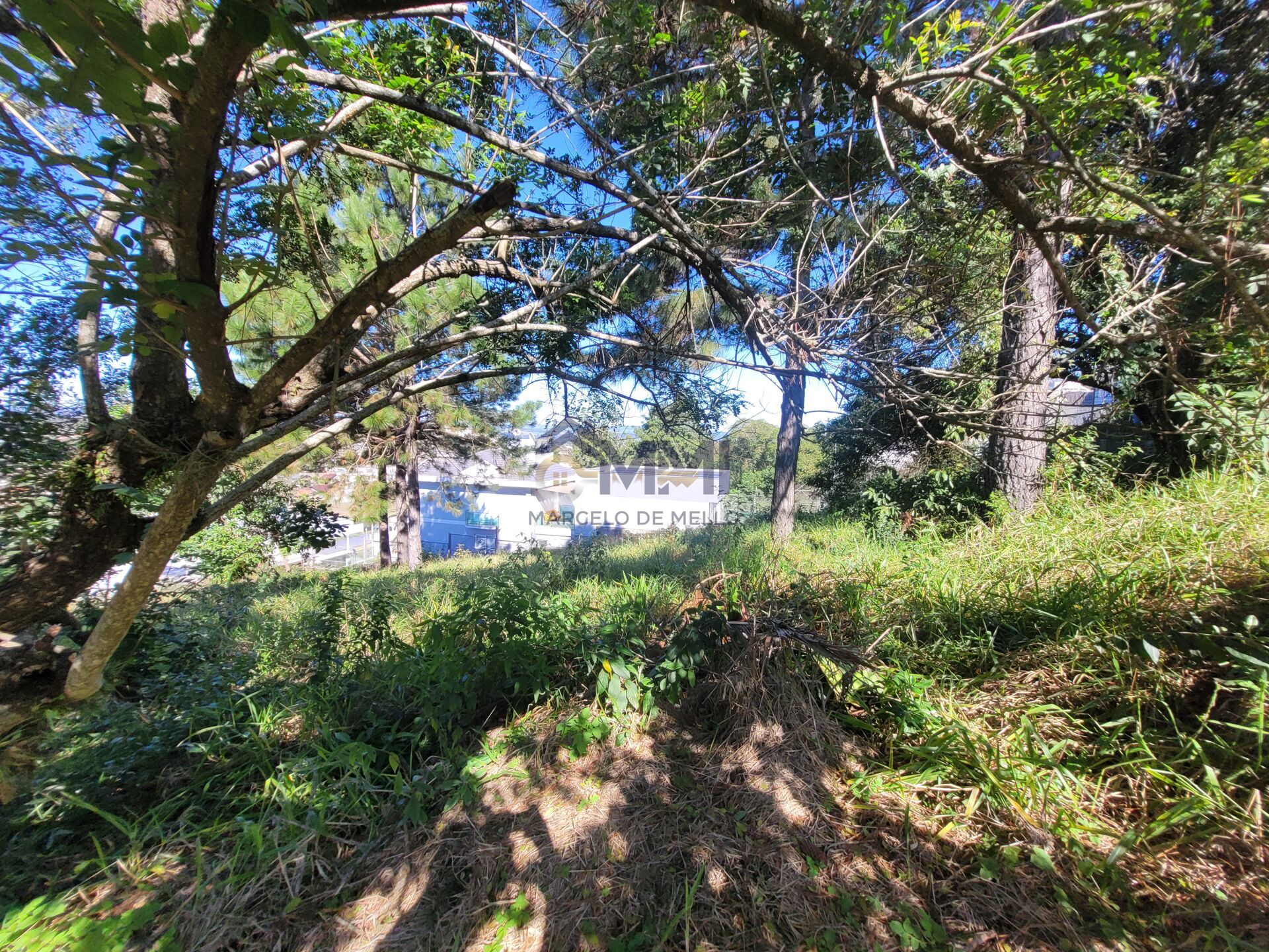 Terreno à venda, 360m² - Foto 3