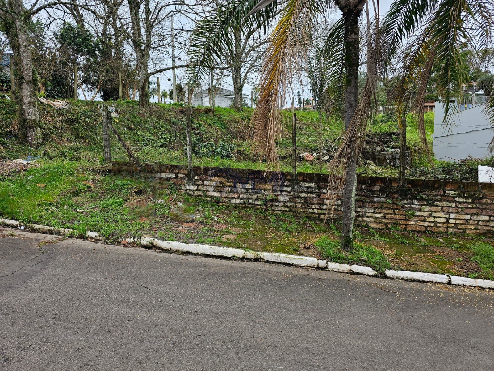 Terreno, 456 m² - Foto 4