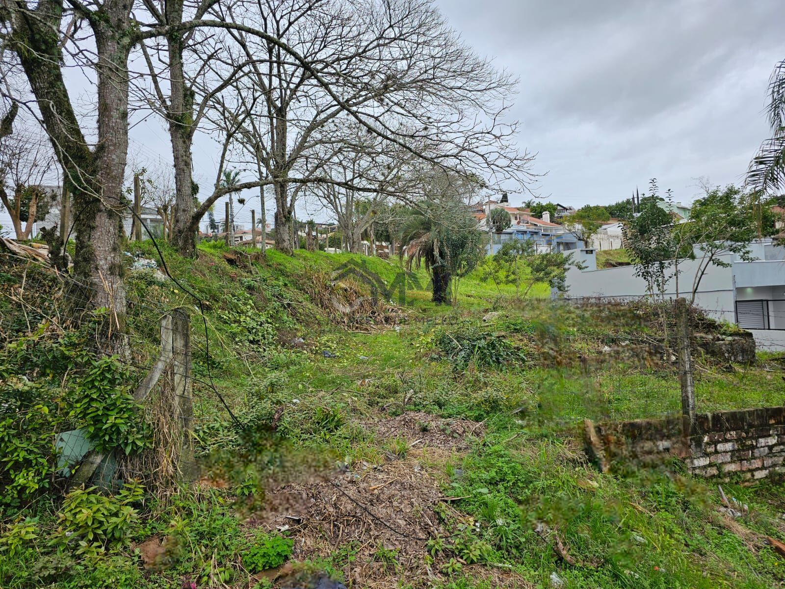 Terreno, 456 m² - Foto 3