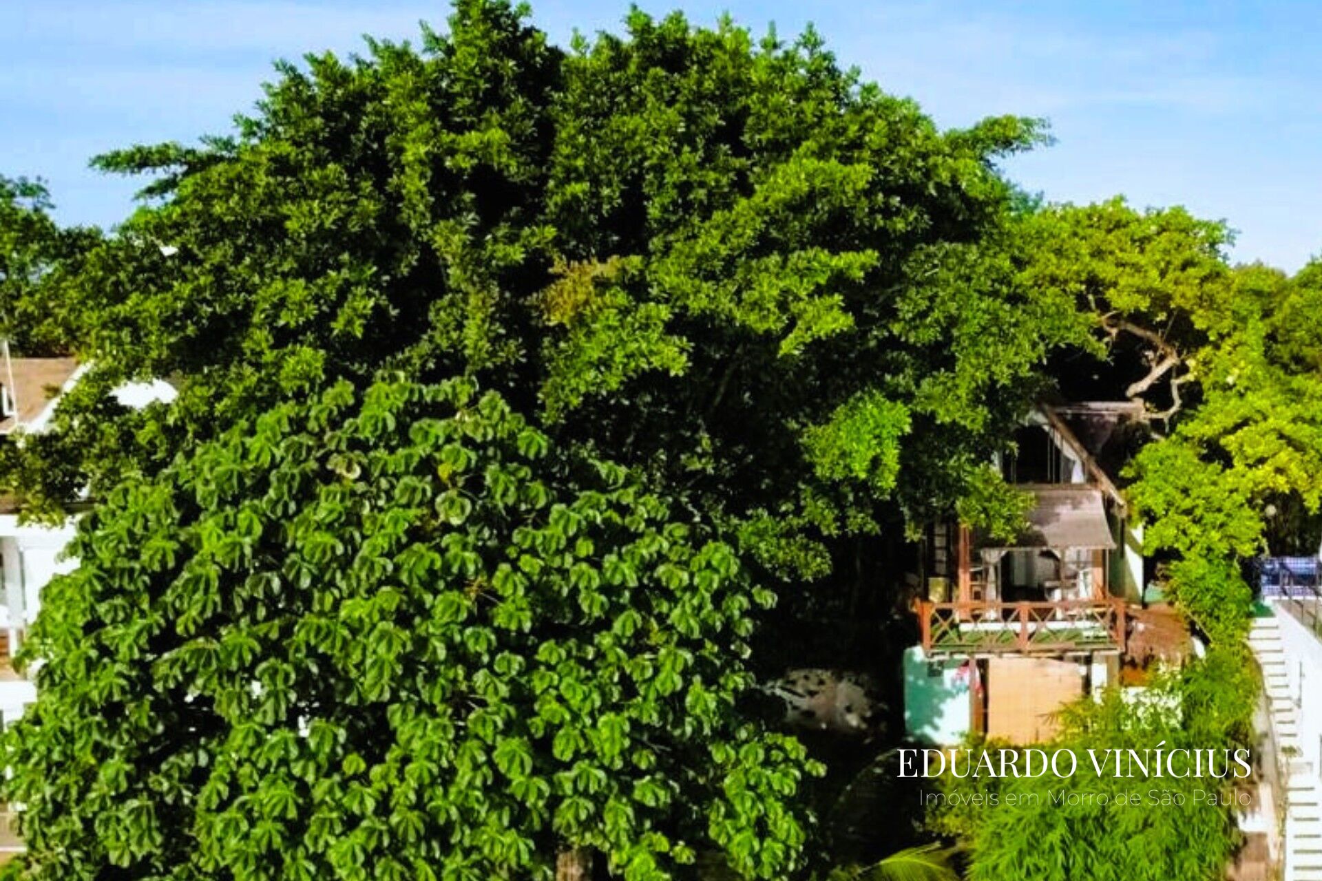 Casa de Condomínio à venda com 2 quartos, 80m² - Foto 17