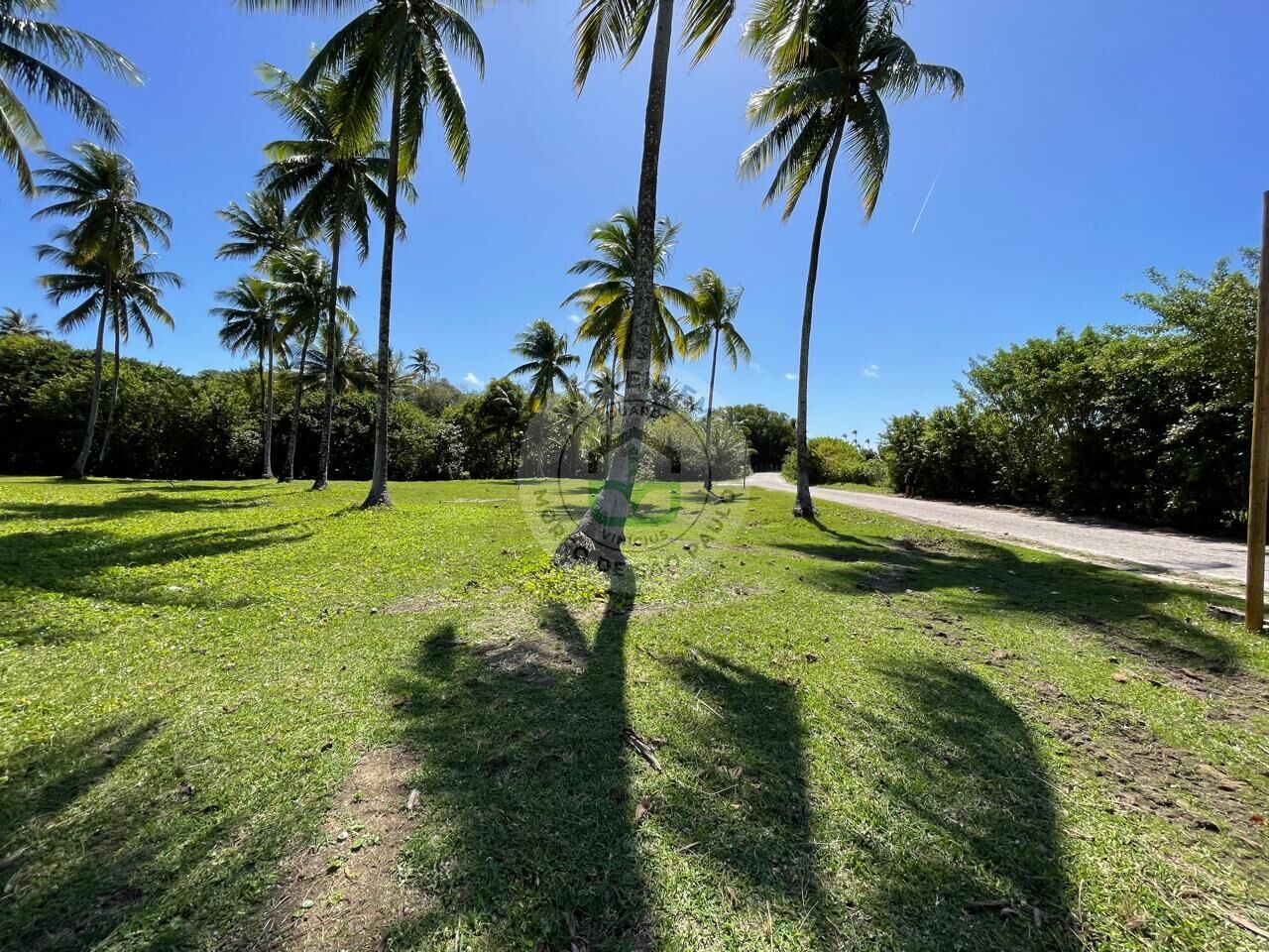 Terreno à venda, 1004m² - Foto 14