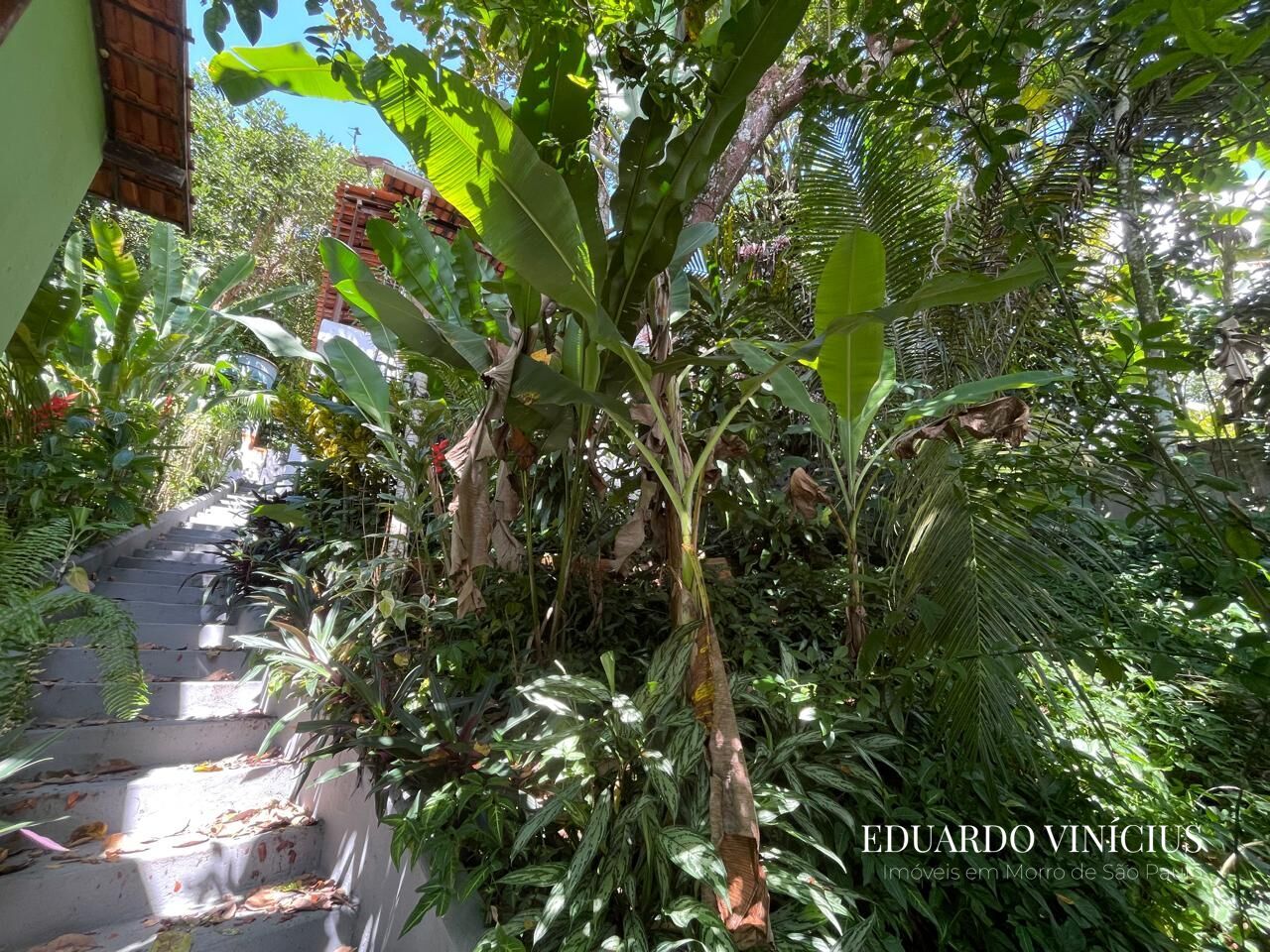 Casa à venda com 2 quartos, 66m² - Foto 28