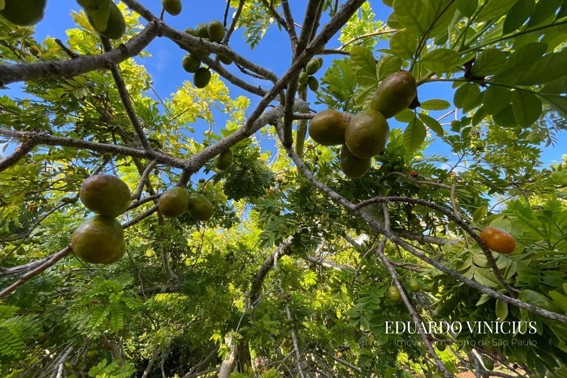 Casa, 2 quartos, 160 m² - Foto 10