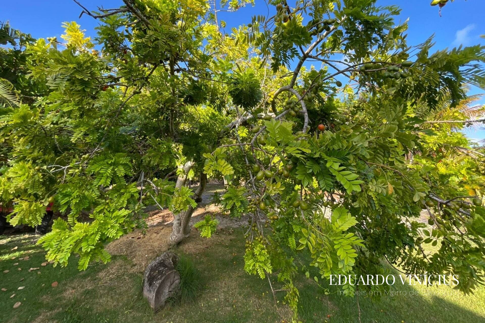 Casa, 2 quartos, 160 m² - Foto 7