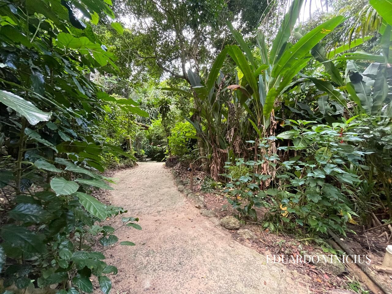 Terreno, 560 m² - Foto 6