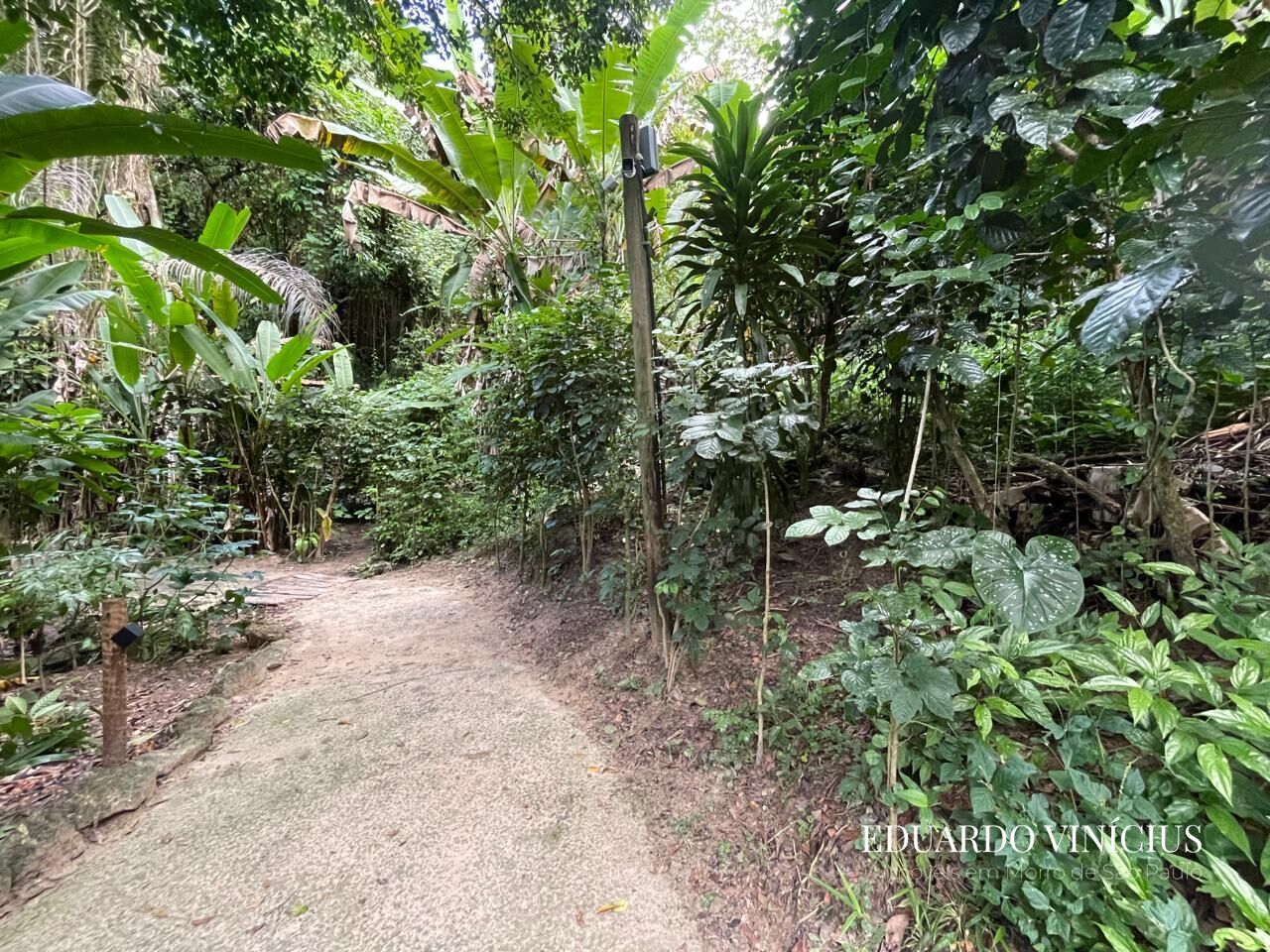 Terreno, 560 m² - Foto 7