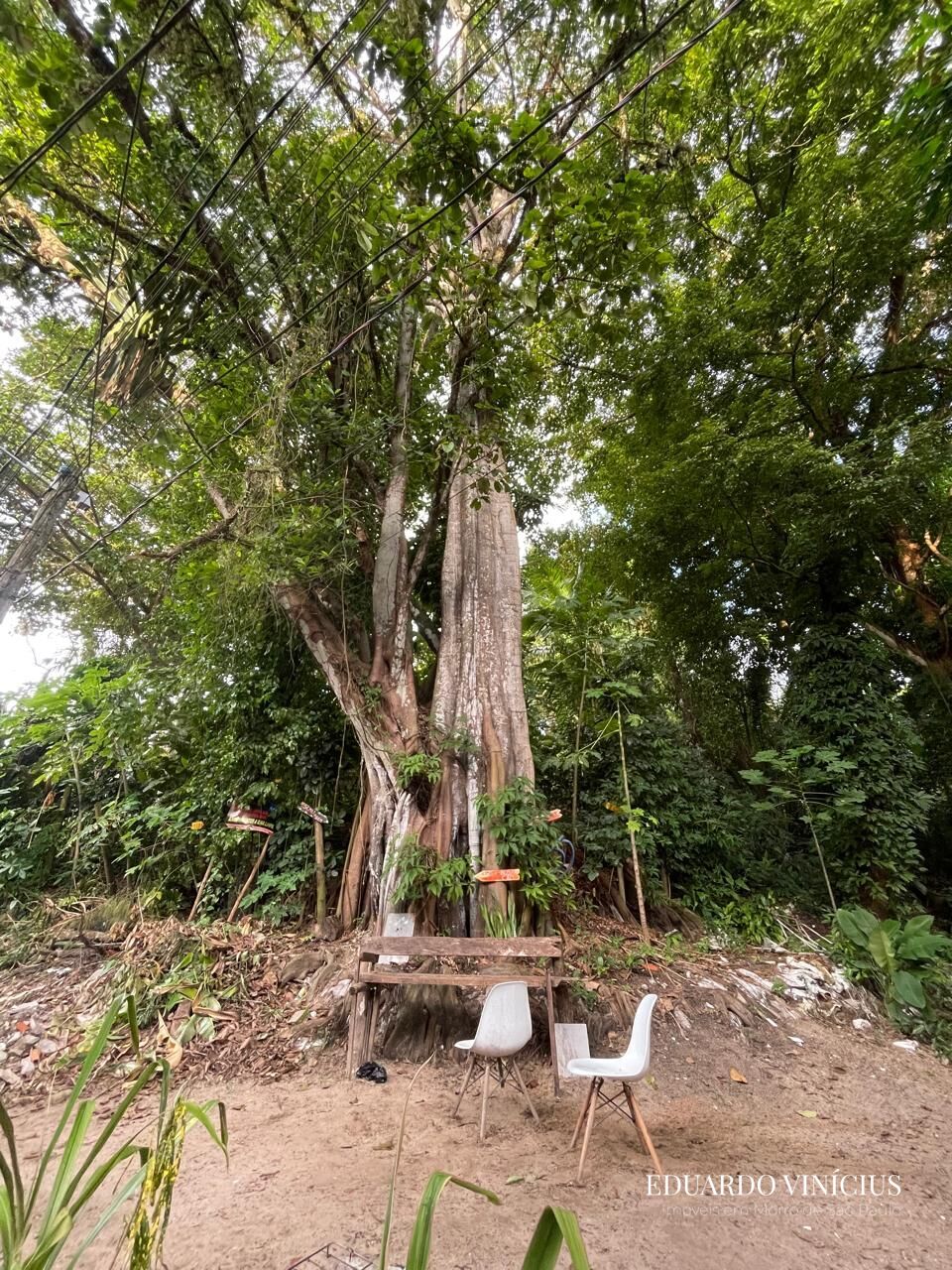 Terreno, 560 m² - Foto 13