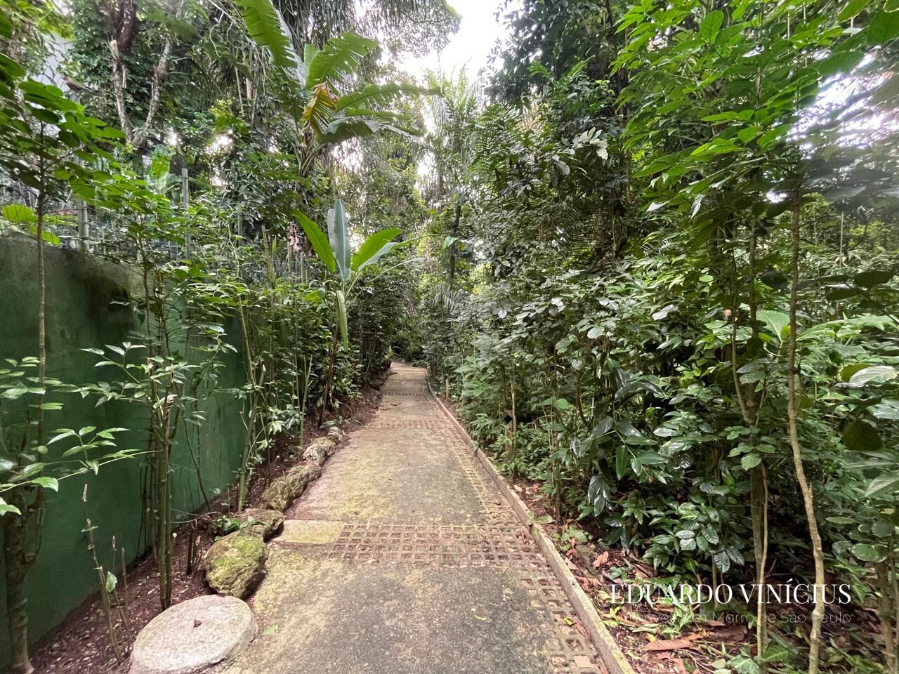 Terreno, 560 m² - Foto 11