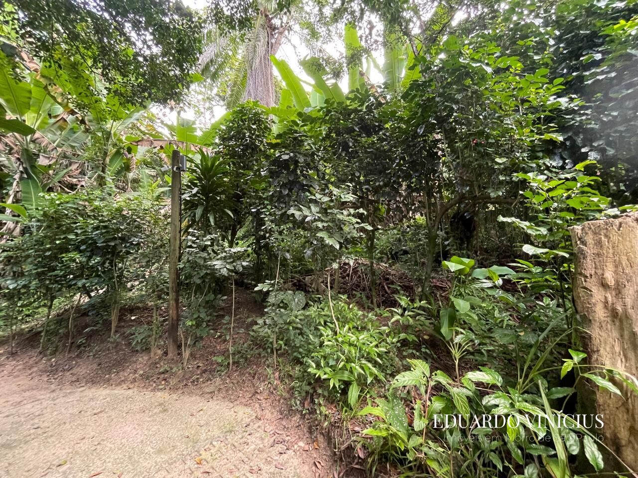 Terreno, 560 m² - Foto 9