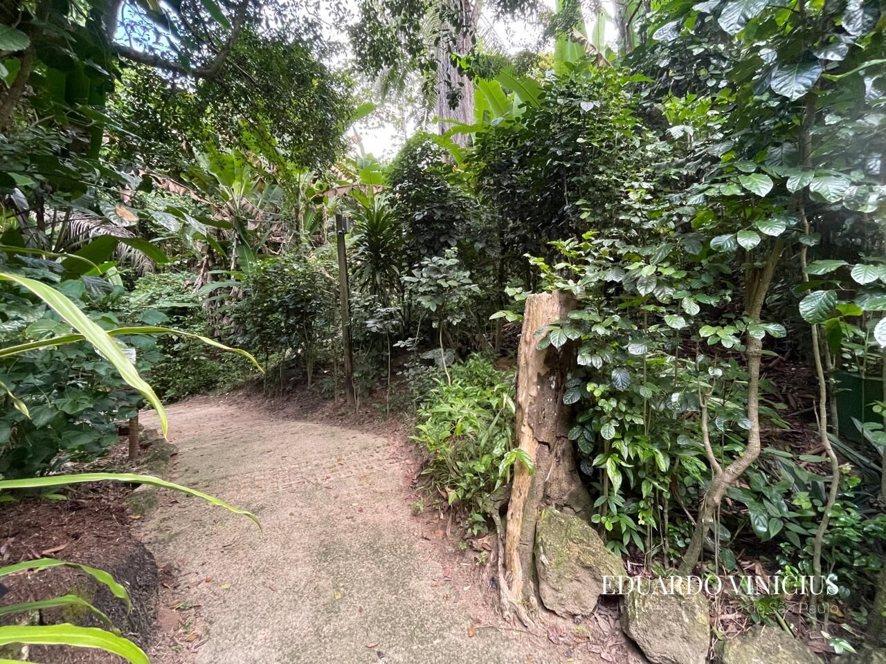 Terreno, 560 m² - Foto 8