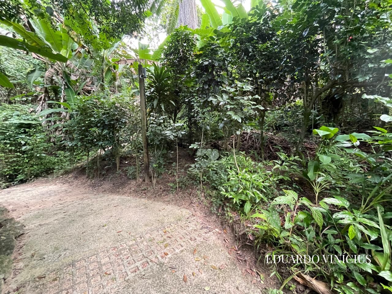 Terreno, 560 m² - Foto 3