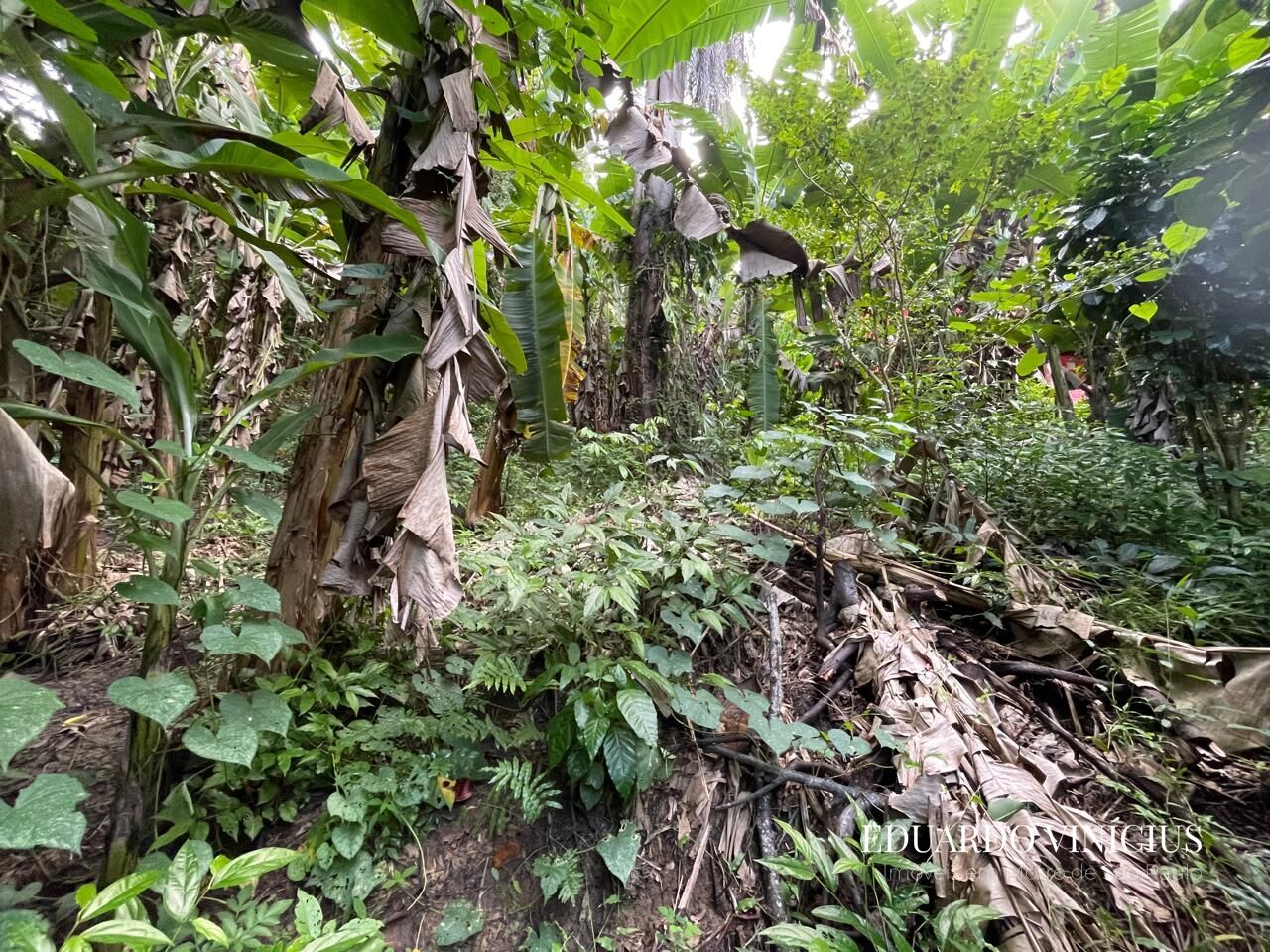 Terreno, 560 m² - Foto 5