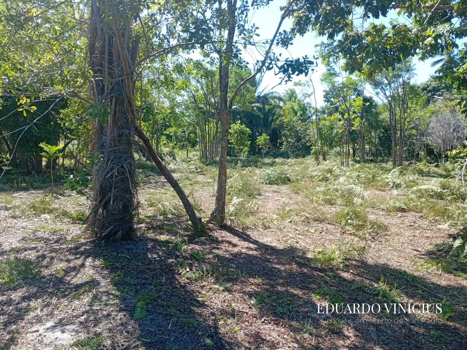 Terreno, 2500 m² - Foto 1